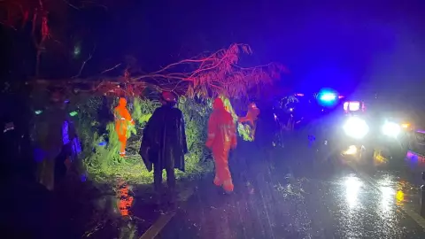 Estragos de la tormenta tropical John