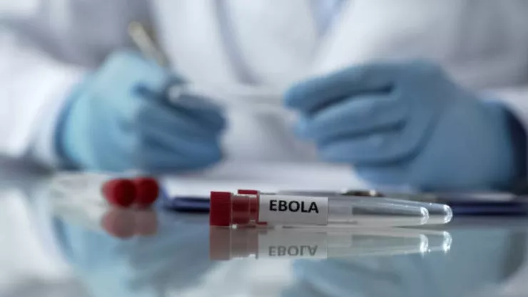 OMS declara emergencia internacional por brote de ébola: ¿Cómo afecta a México?