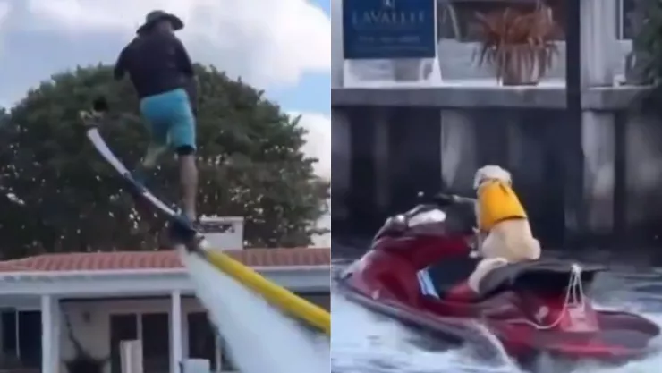 Perro en moto acuática