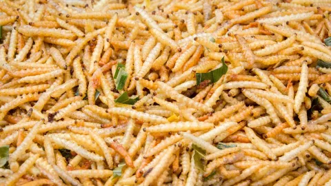 Utilizarán perros para detectar casos de gusano barrenador en Jalisco