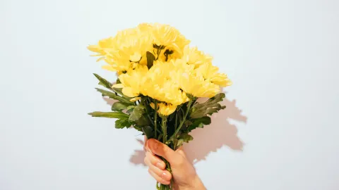 flores amarillas día