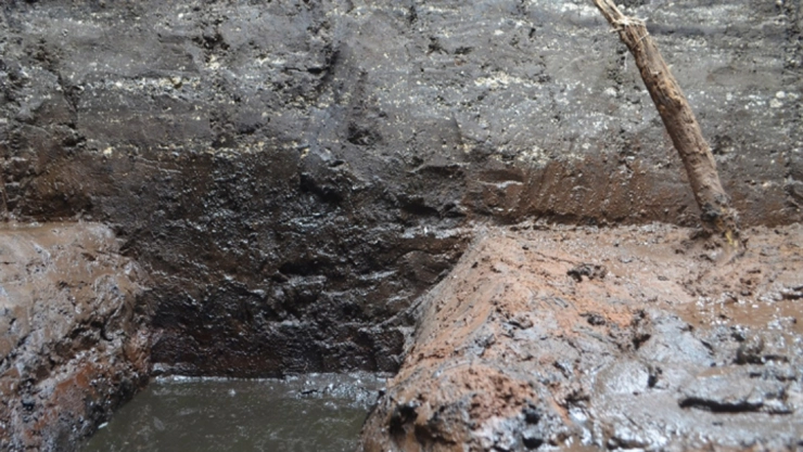 INAH chinampas Chalco