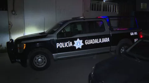 Árbol cae y mata a un hombre de 50 años en Finca de Guadalajara