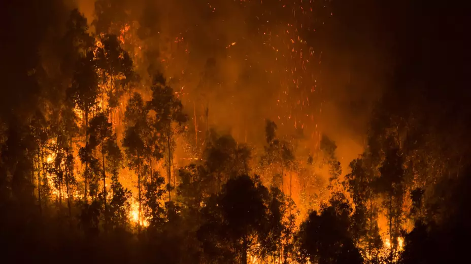 CHILE-INCENDIOS