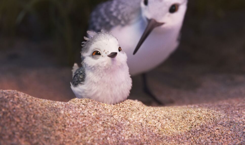 Piper póster, cortometraje de Disney