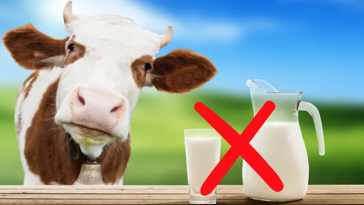 La leche va a desaparecer