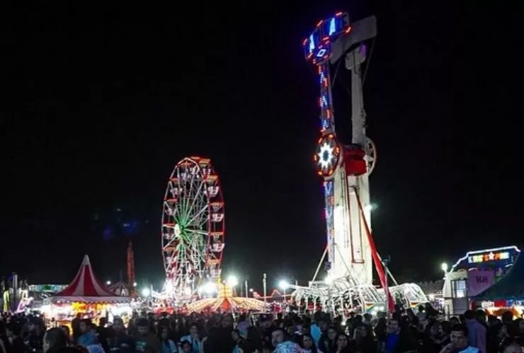 Verbena de Culiacán