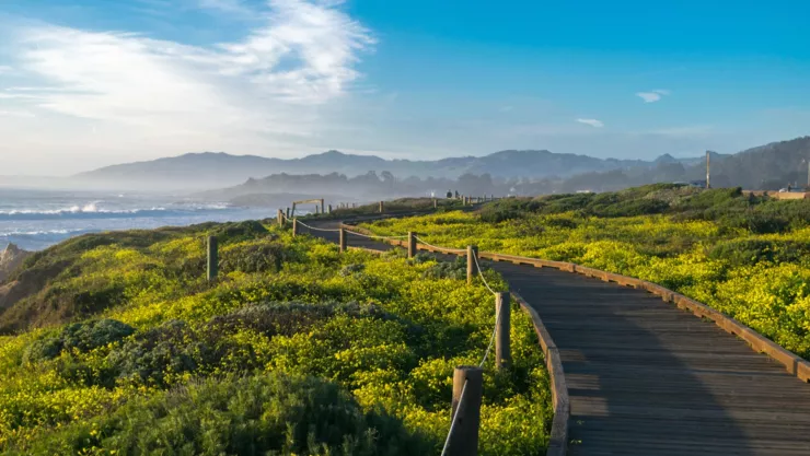Atardecer en la playa de Cambria, California