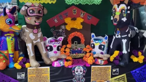 ¿Qué le debes colocar a tu mascota en su ofrenda este Día de Muertos 2023?