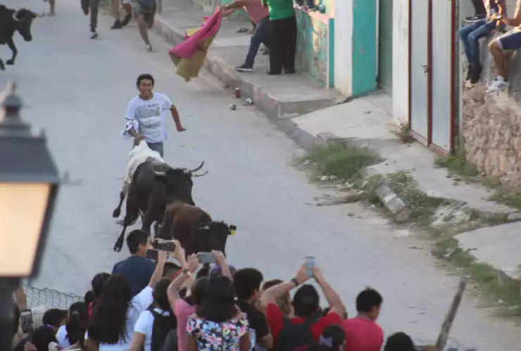 Realizan Pamplomuchada en Campeche; sueltan a vaquillas a las calles 2023