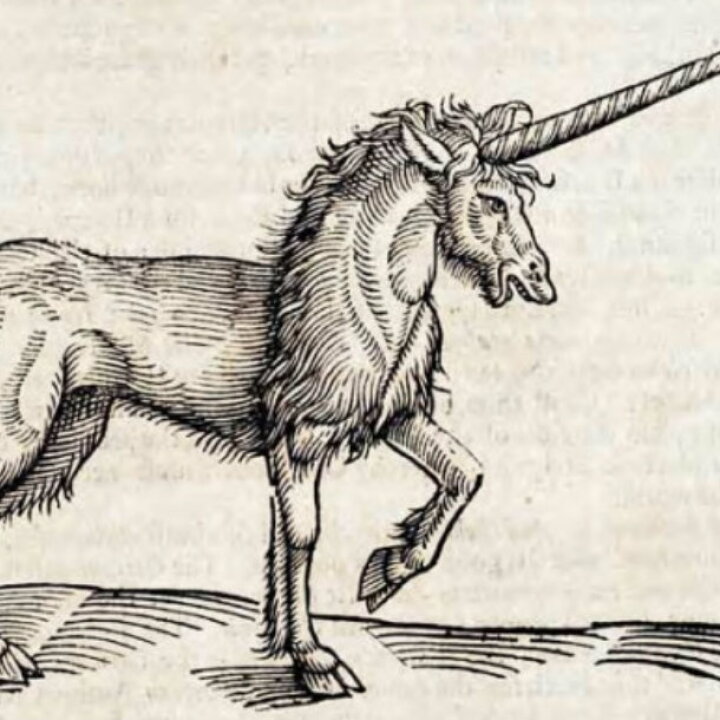 La ciencia lo confirma: los unicornios existieron