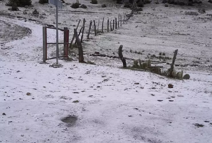 FOTOS: Así quedó Nuevo León tras la nevada por el frente frío 11