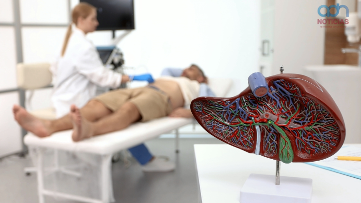 Hierbas que inflaman el hígado 