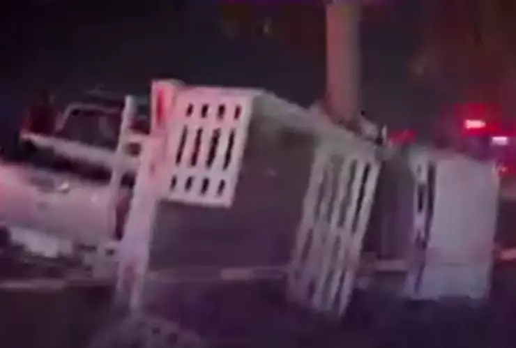 ZMG: Fatal choque y volcadura en Zapopan; mueren dos personas tras quedar prensados con árbol. En la imagen se observa a detalle cómo una camioneta terminó impactada contra un árbol tras grave percance.