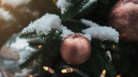 Estado del tiempo en León, Guanajuato por horas 24 de diciembre de 2024.png