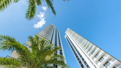 Vista desde el suelo hacia el cielo soleado de Miami