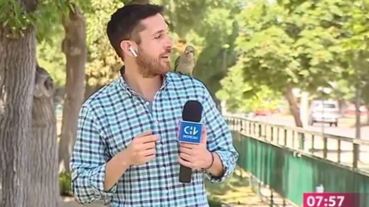 loro le roba audífono a periodista en plena transmisión en vivo.jpg