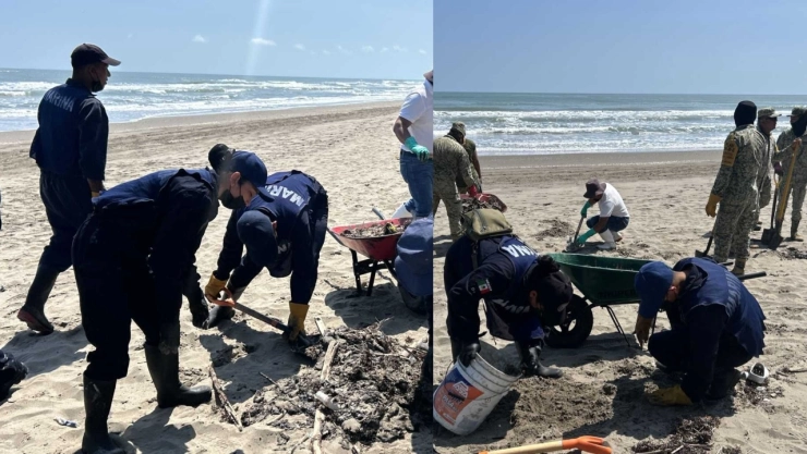 Marina remueve toneladas de material sólido de hidrocarburo en costas de Veracruz