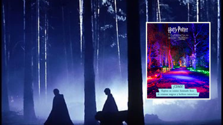 Harry Potter llega a México con el Bosque Prohibido: ¿Dónde estará, cuándo abre y cuánto cuestan los boletos?