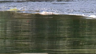 Hallazgo de CUERPO SIN VIDA en aguada alerta a los vecinos; le faltaba cabeza y brazos