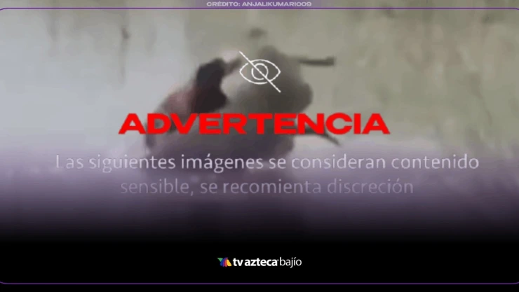 VIDEO menor de 12 años fallece tras ataque de cocodrilo