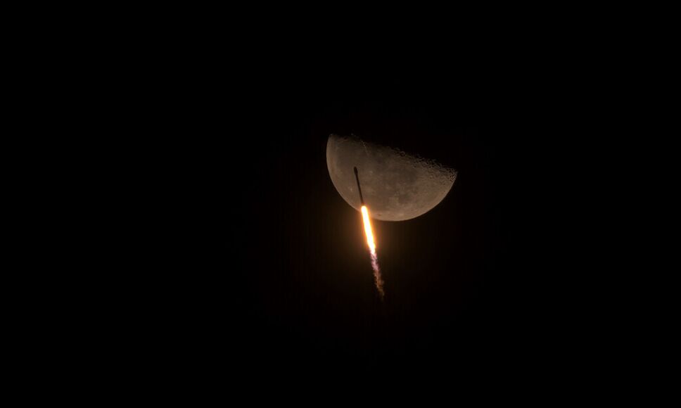 Luna, fotos, 2021 4.jpeg