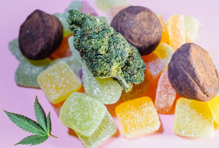 Alertan en España por nuevas gomitas con derivado de CBD que no es para consumo personal