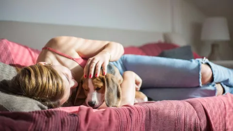 &iquest;Qu&eacute; pasa si tu mascota duerme contigo en la cama?