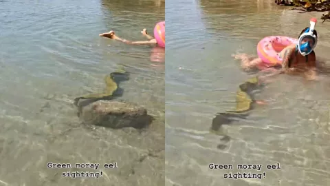 Captura de pantalla de la escena en la que la anguila aparece junto a una mujer en Florida.