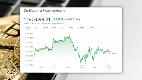 valor del bitcoin hoy 20 de febrero 2026