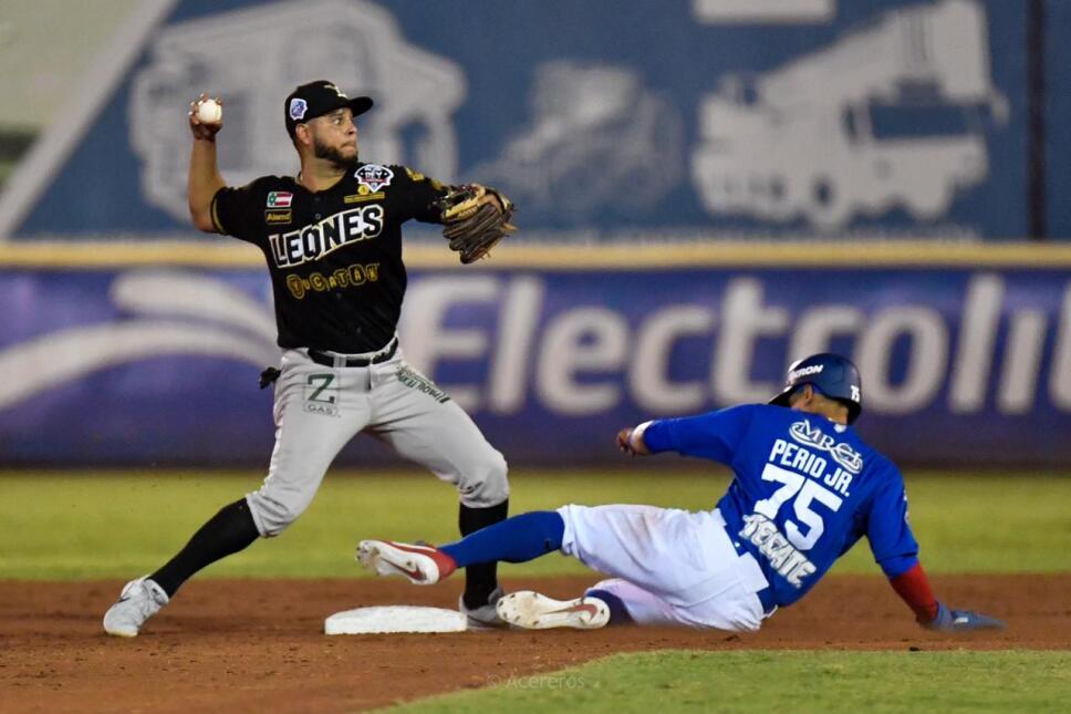 Leones de Yucatán