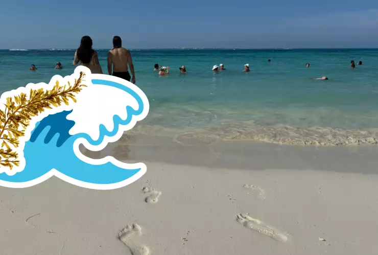 Playas libres de sargazo en Quintana Roo HOY 5 de agosto de 2025_ Lista desde Holbox, Cancún y hasta Tulum.jpg
