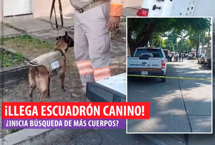 Escuadrón canino Tuxtla