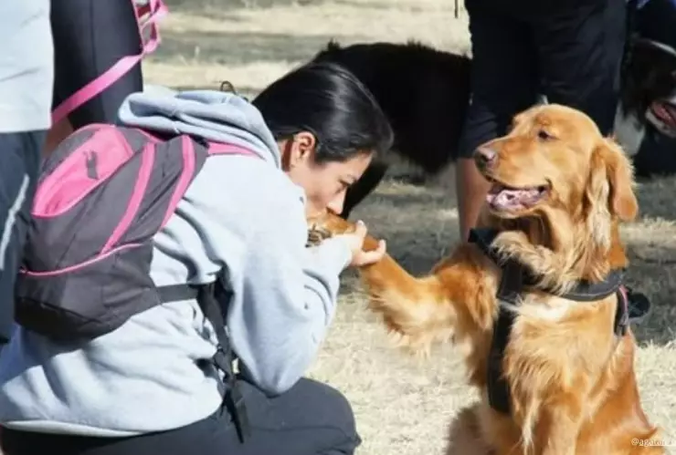 COMO REGISTRO A MI MASCOTA EN EL RUAC