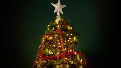 ¿Cuándo poner el árbol de Navidad? Tradición y significado detrás esta costumbre decembrina