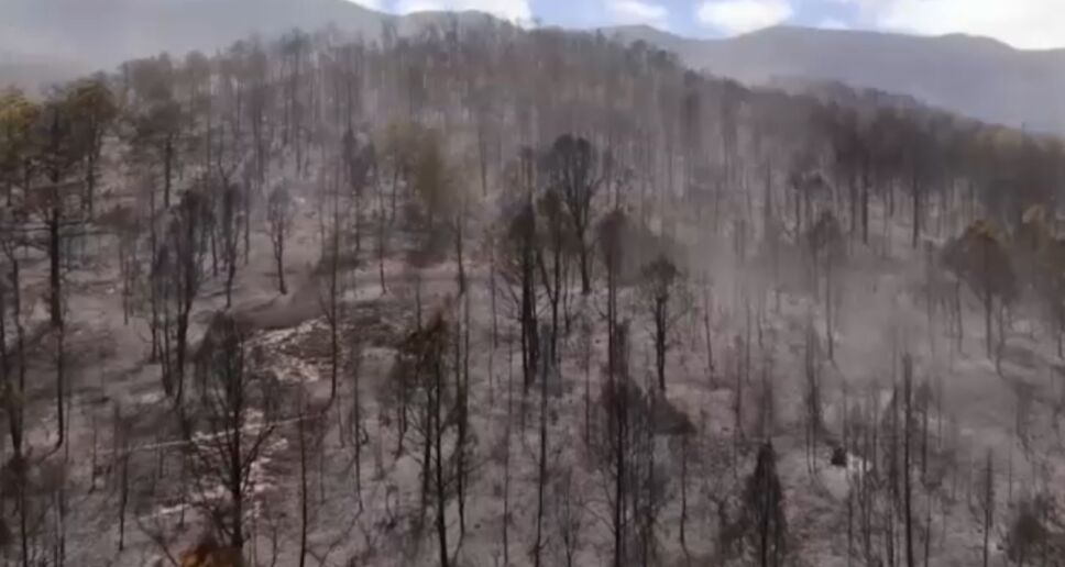 Sierra de Santiago necesita ser reforestada tras incendio.png