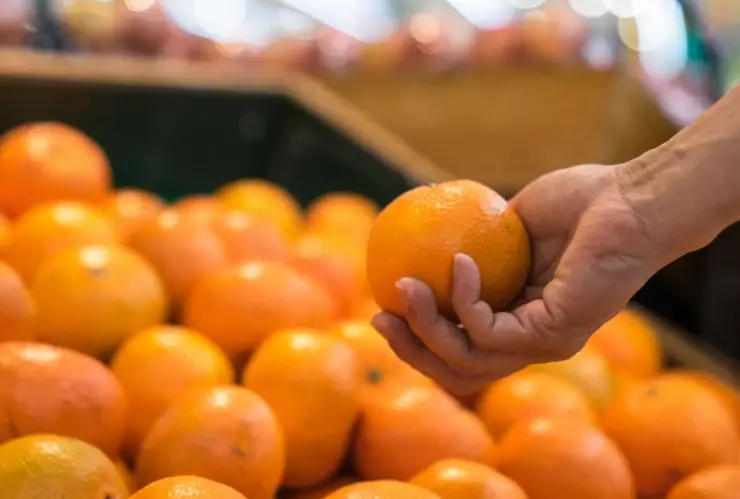 martes_miercoles_campo_15_16_octubre