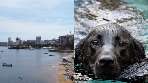policías capitalinos
