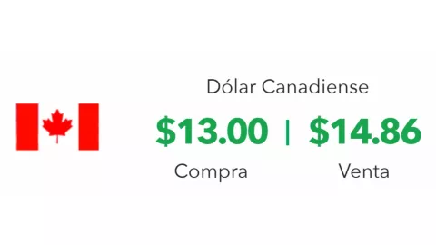 Precio del dólar en México hoy 14 de enero 2025; tipo de cambio