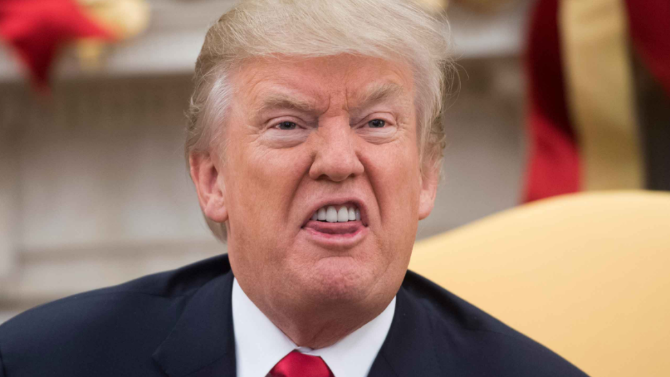 Trumpado 7 veces en las que Donald Trump terminó siendo un meme