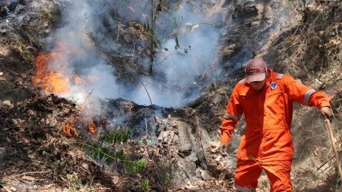 Prohíben acceso al cerro del Tepozteco tras incendio