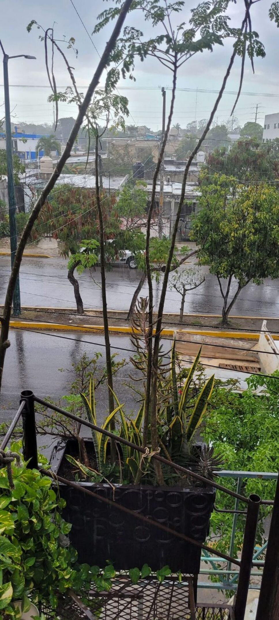 VIDEO ¡Toma tus precauciones! Lluvias impactan Cancún