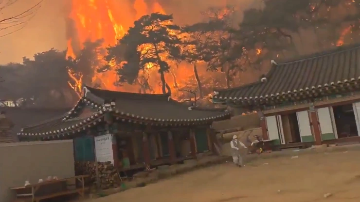 Incendios corea del sur marzo 2025.jpg