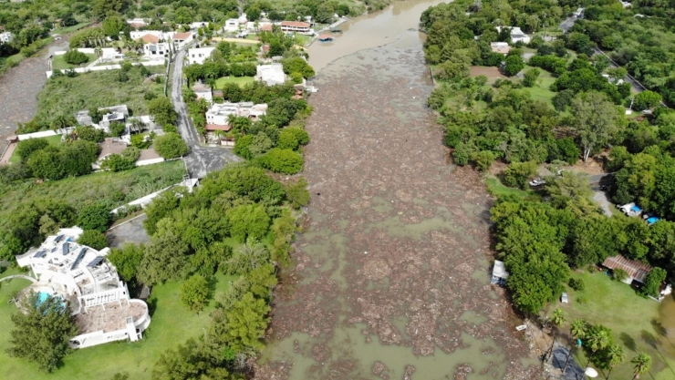 Lluvias que trajo Fernand beneficiarán a agricultura de NL: Conagua