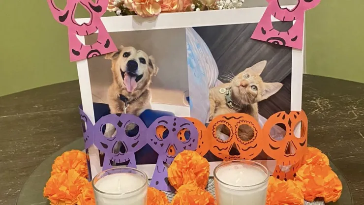 Ofrenda para Mascotas 2025.