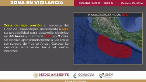 Zona de vigilancia.jpg