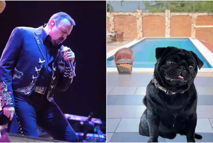 Pepe Aguilar-Emiliano Aguilar