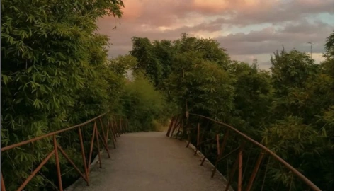 mejores parques de Puebla