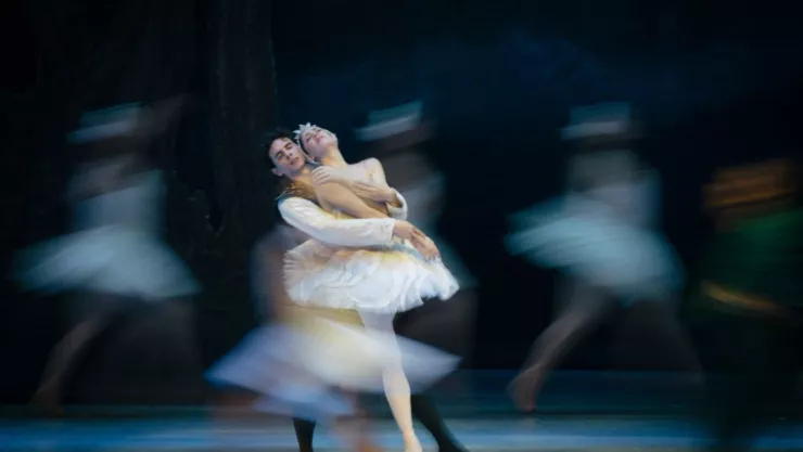 El Lago de los Cisnes