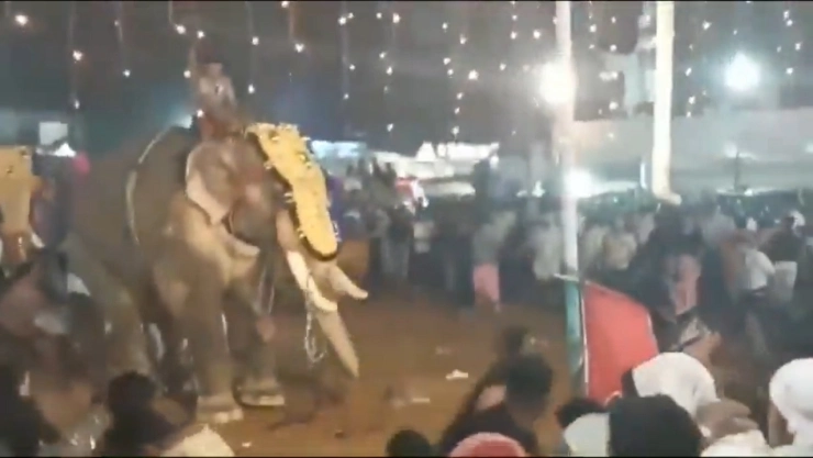 Video-captan-momento-en-que-elefante-embiste-a-multitud-en-la-India-y-deja-a-23-heridos